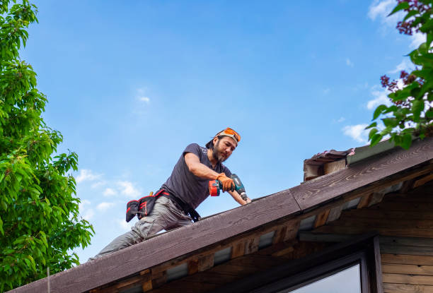 Best Asphalt Shingle Roofing  in Kekaha, HI